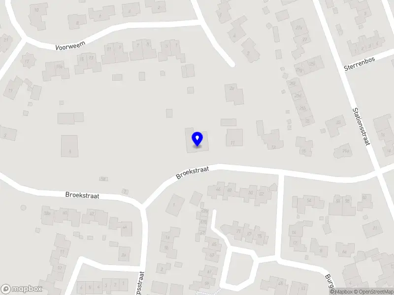 Alies ontzorgt ouderen