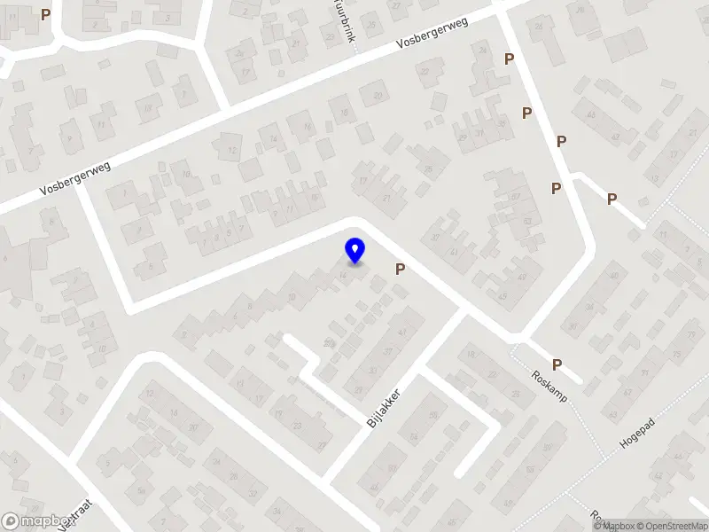 De naald uit de Berg