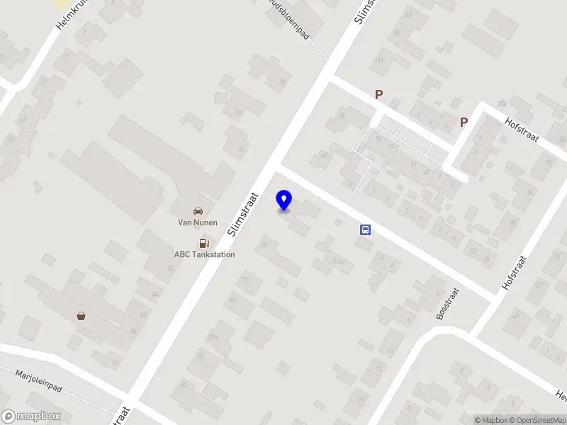 Rianne Spijkers Interim Management