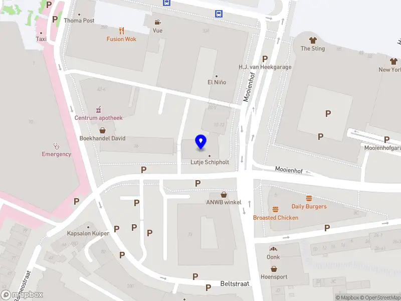 Olha Hrynenko Enschede