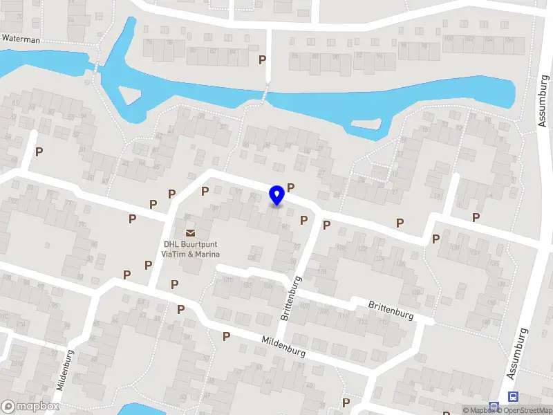 Borderless Professional