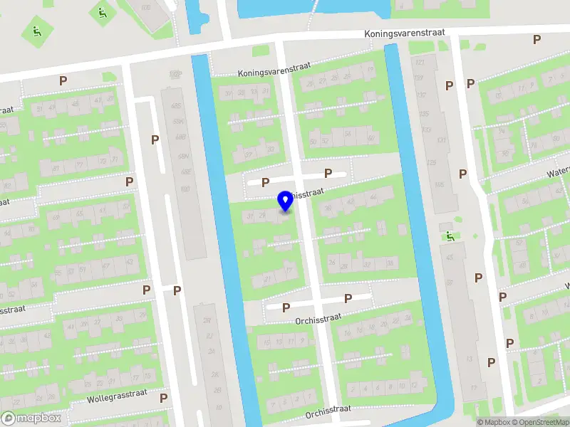 Photography Oillistudio