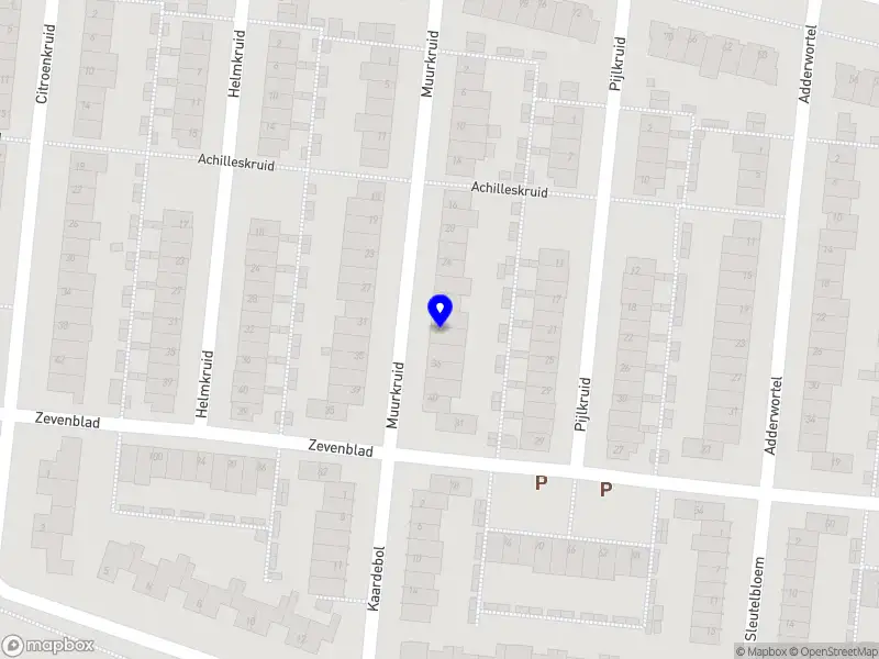 Gorkem Tasci IT Services