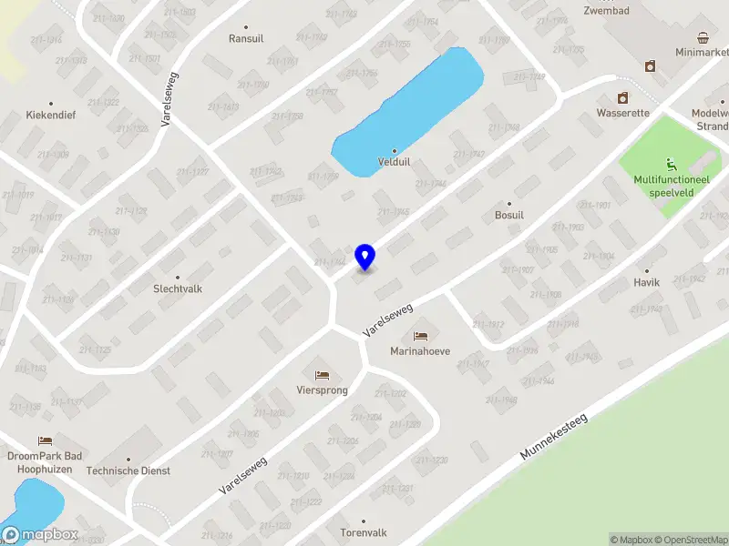 Victoria Popova Coaching