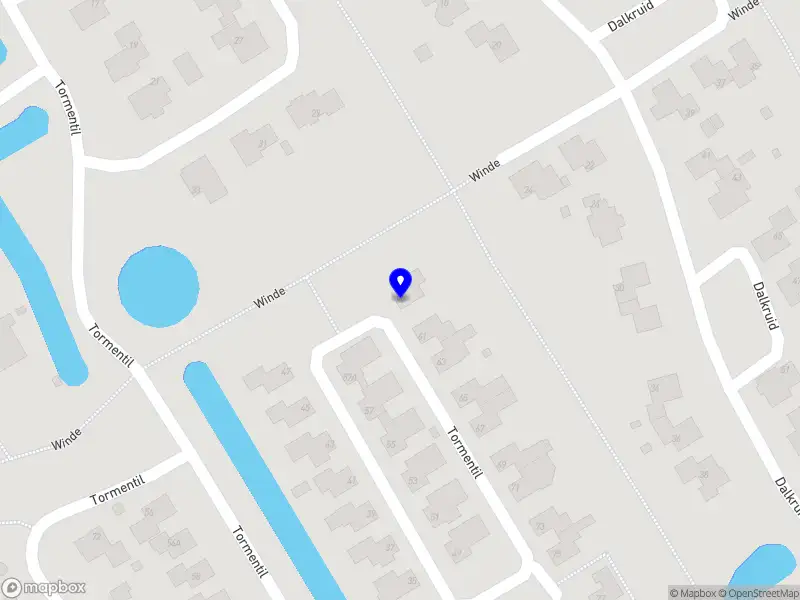 Femke Blaauw Onderwijsadvies