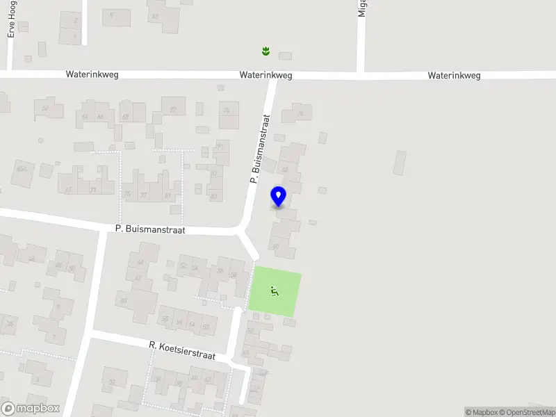 David piano en vleugeltechniek