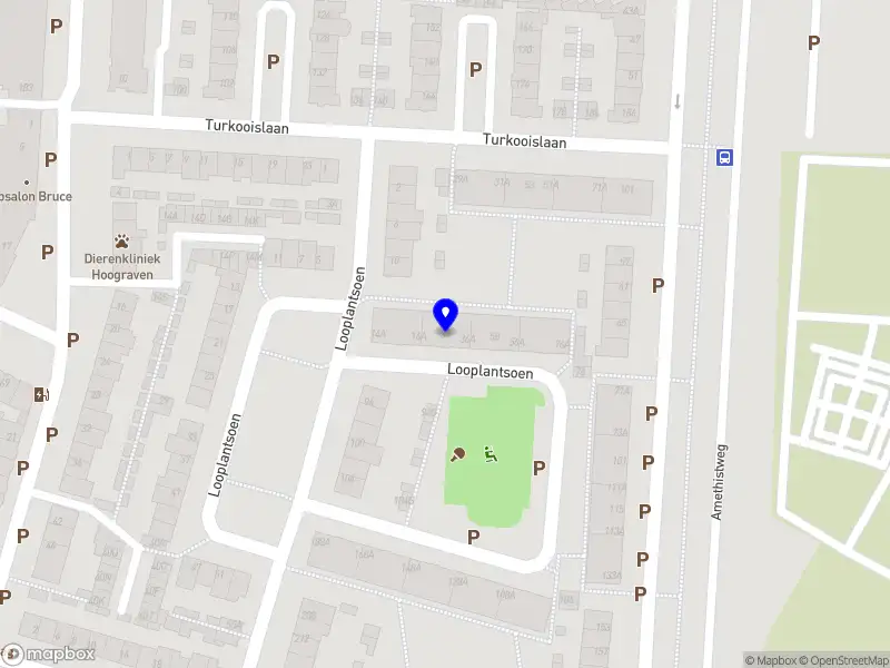 MS Life Science Consulting