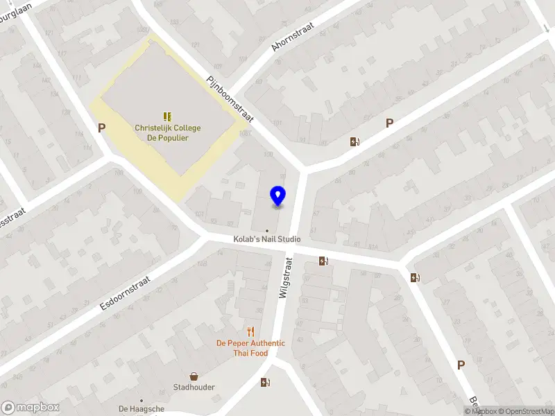 TP Projectondersteuning