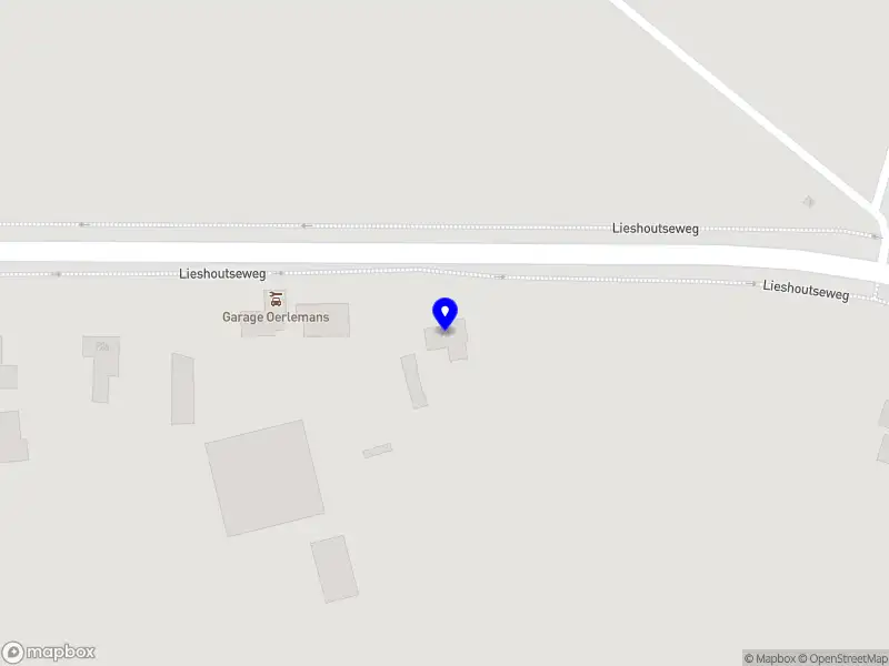 CurioKo Interim Management