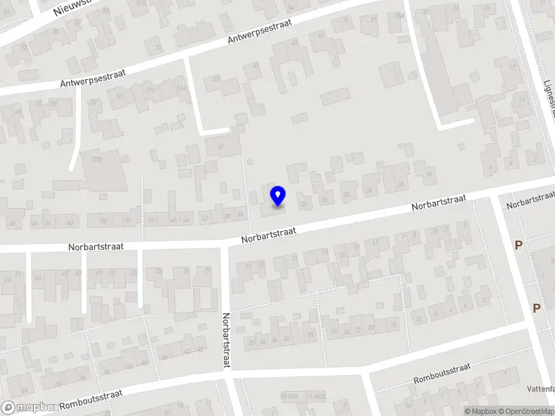 Louis Leeman service & onderhoud