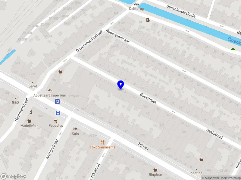 Kattenoppas Chippy Haarlem