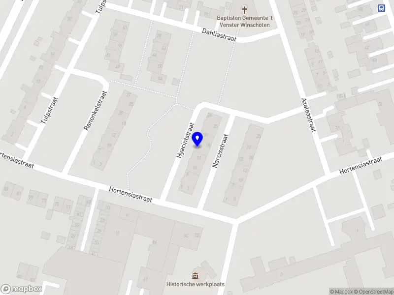 Mayze Branding Winschoten