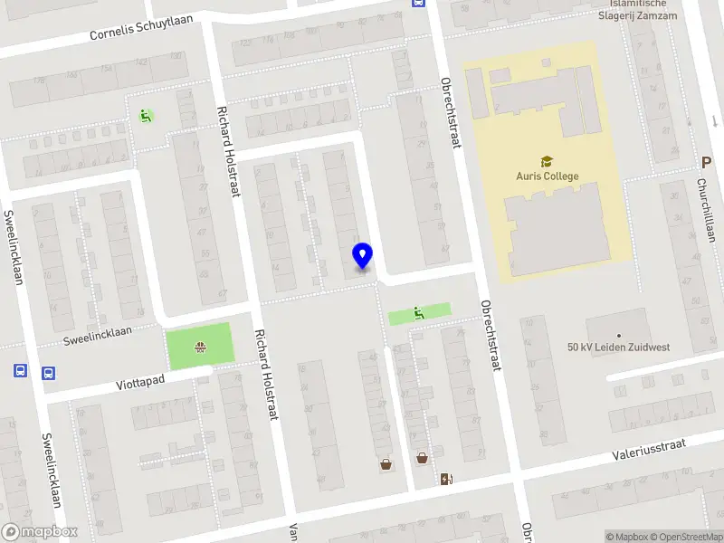 E-commerce Anass Leiden