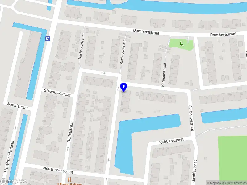 The Furr & Purr Studio