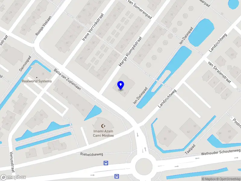 Paulowina in The Gambia B.V.