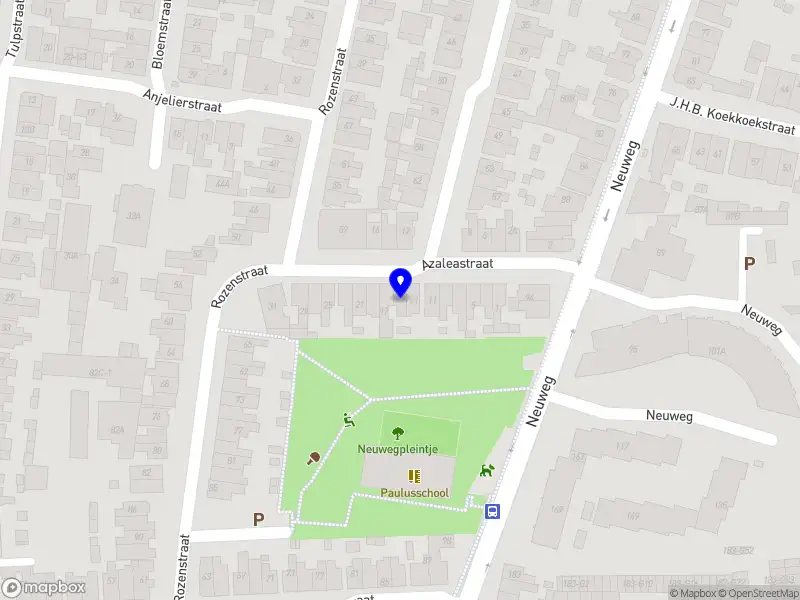 Dutch Connector Advisory