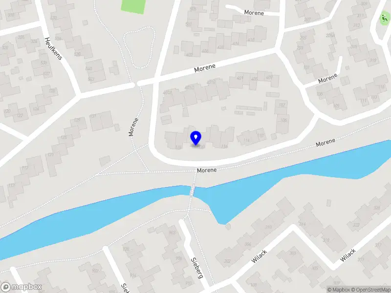 Rene Diks Interim Management