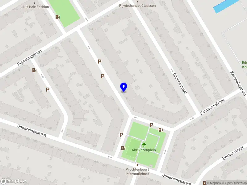 City kids exploring 's-Gravenhage