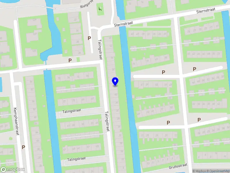 Carmen Bongaerts Hospitality