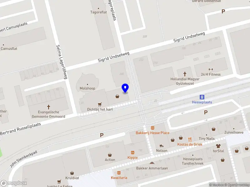 Nederlandse Hengelsport Organisatie