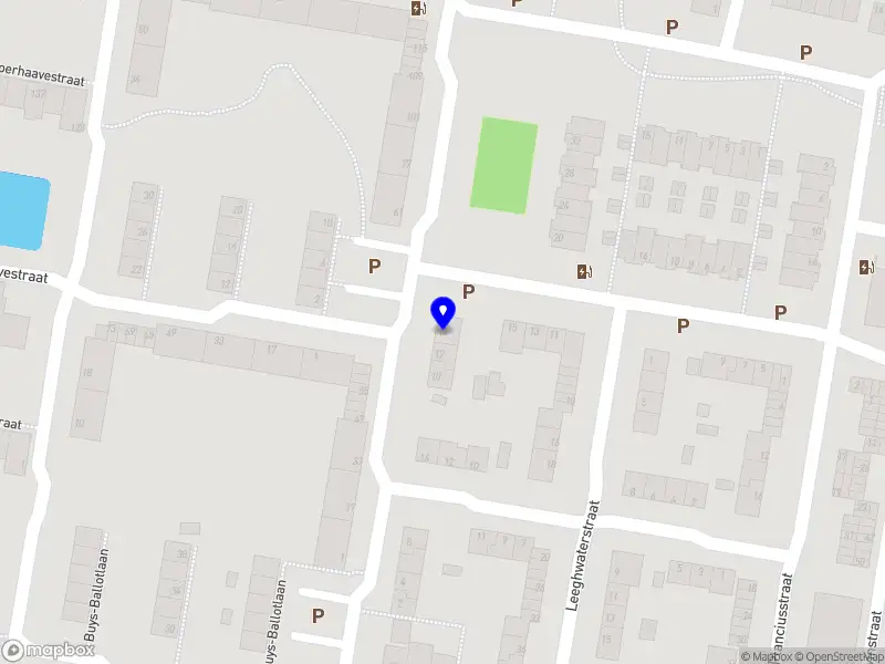 Joyce van Paassen Art