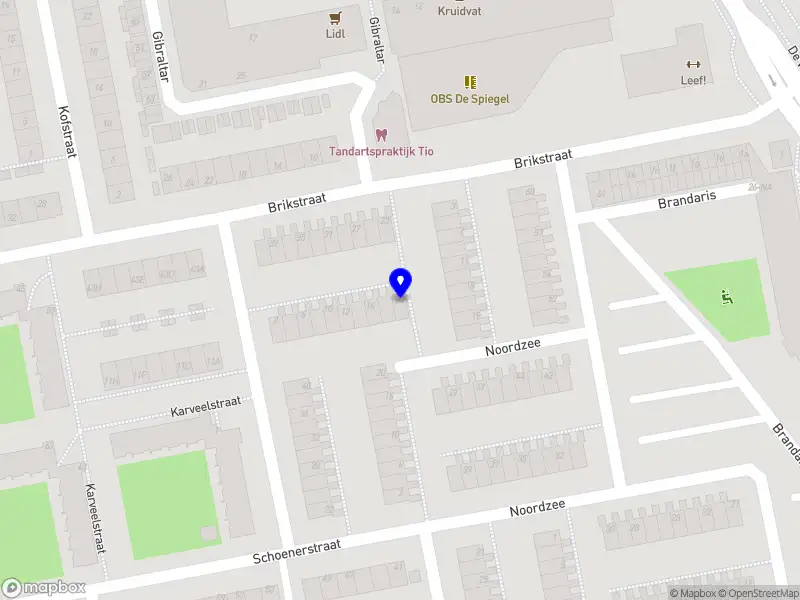 Maksimov Stukadoorsbedrijf