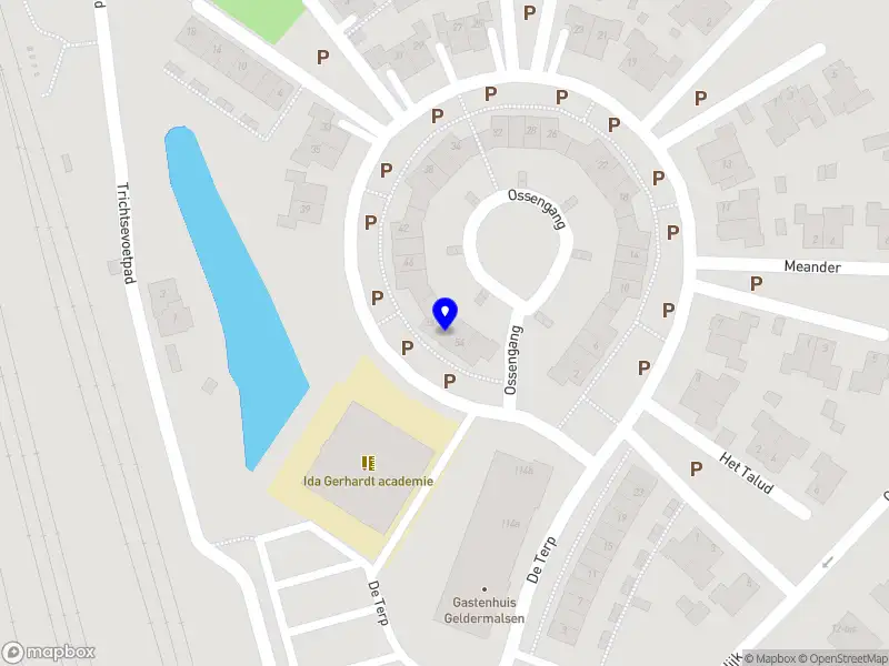 J.G. van Steenis Holding B.V.