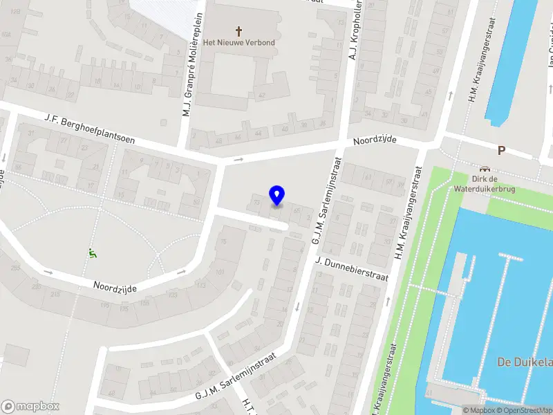 Pure Project Solutions