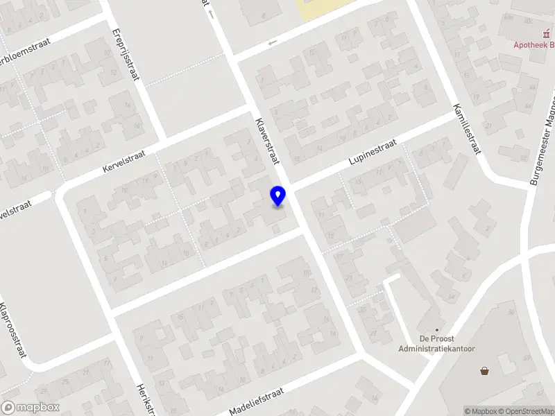 Ruud van der Looij Holding B.V.