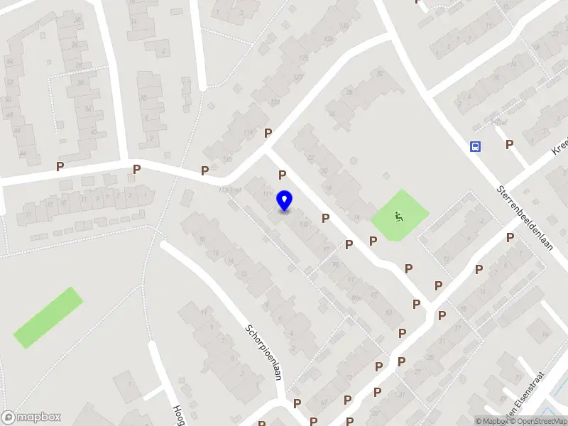 Blauwe Puffin Zelfstandige Dierenarts