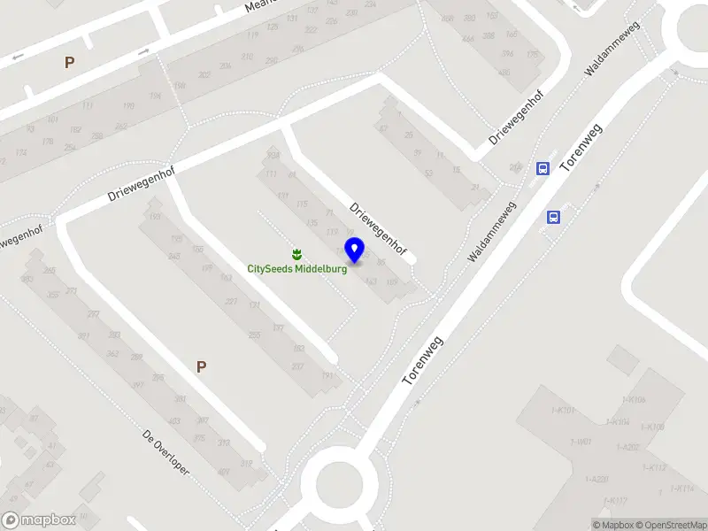 Momona Hall Rental Middelburg