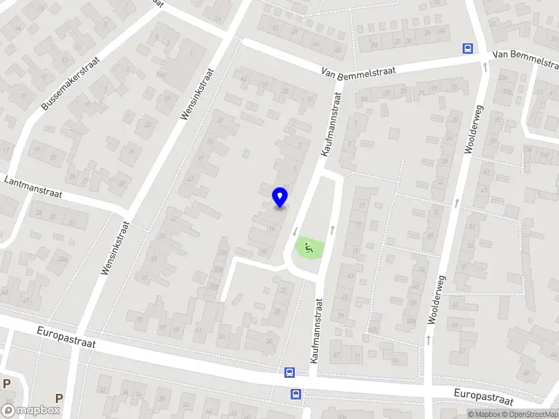 Postpartum Zorg Bij Roos