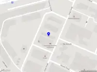 Dance Forest Productions