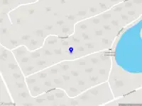 Laura de Wit hondenfotografie