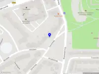 Dieke Cornelissen Coaching & Therapie