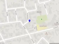 Annika Style Flower Art