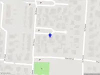 Golden family fashion