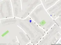 Blauwe Puffin Zelfstandige Dierenarts