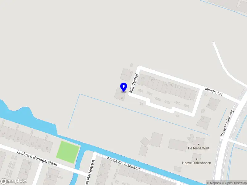 Oxford-Weesp Valer Institute Weesp