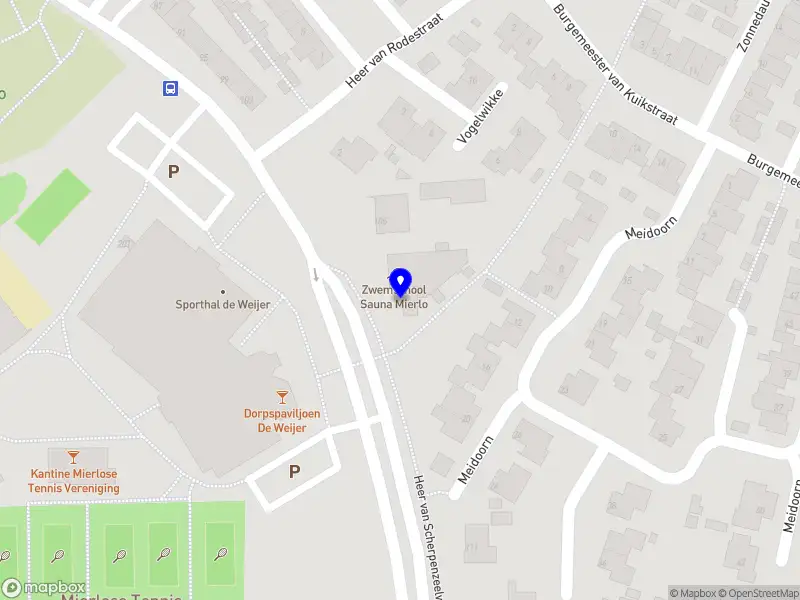 Lonneke Neumann Holding B.V.