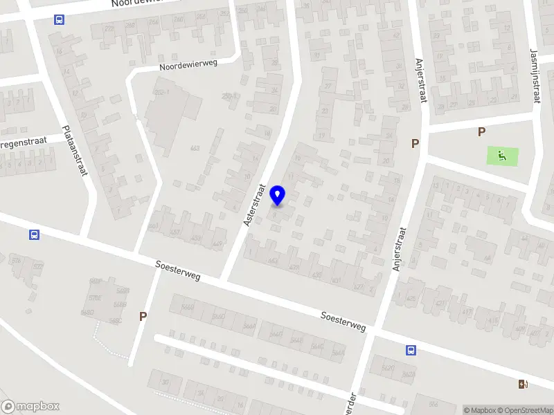 Dakdekker de Zwaan Amersfoort