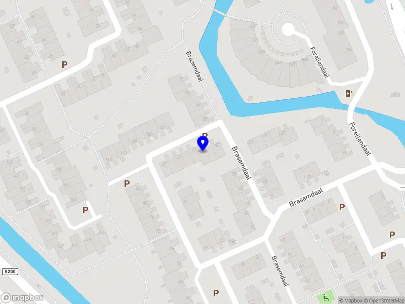 British Shorthair Cattery RIVA Elias