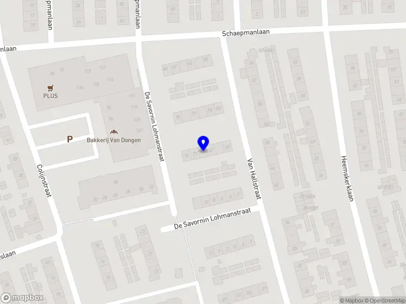 Andries van den Brink entertainment