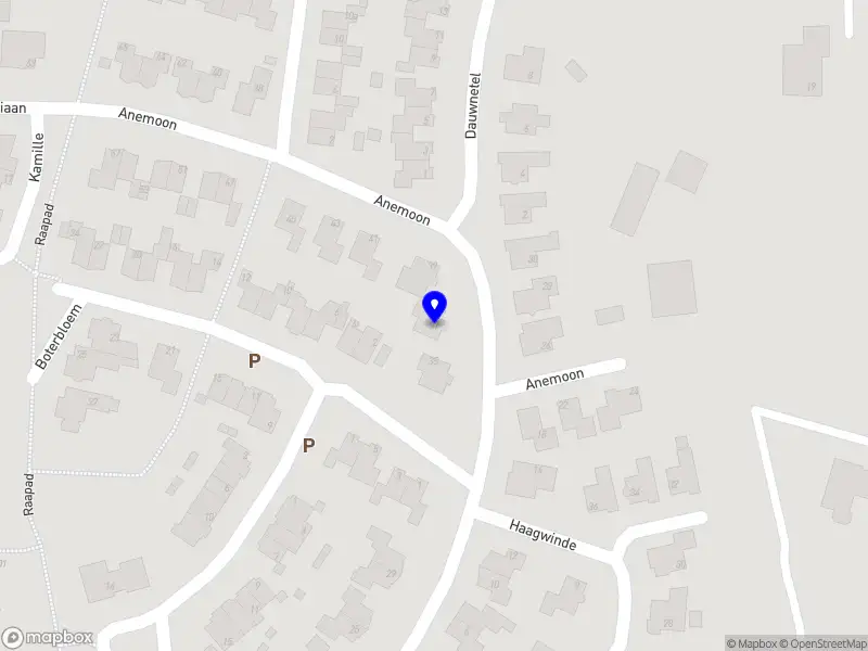 Liselotte Kraanen | Organisatie advies & Consultancy