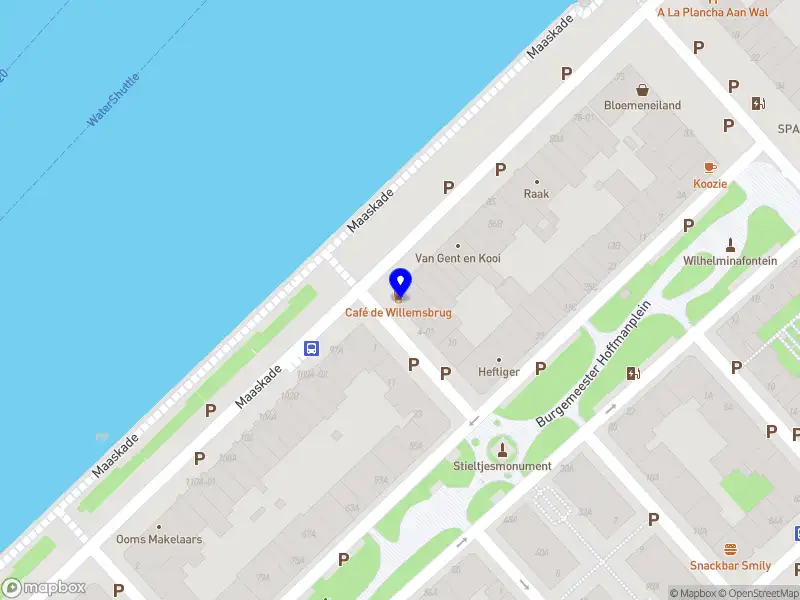 Carolina Fernandes - Dentist