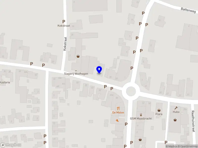 Feliz Investments B.V.