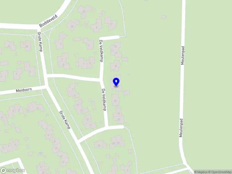 Steenbeek Global Rehabilitation Advice