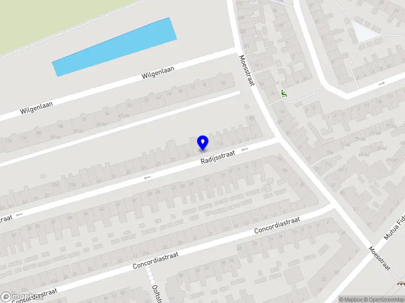 Alina Fasching - Music & Art