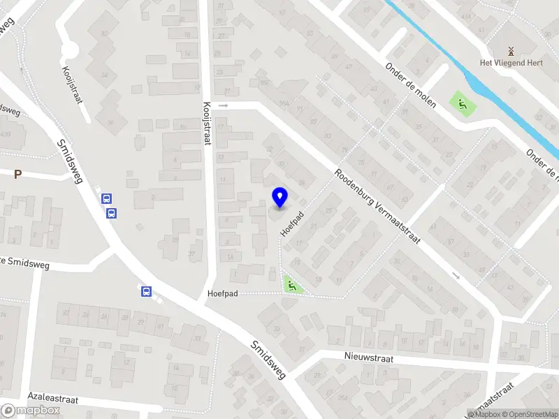 TS Growth Consulting