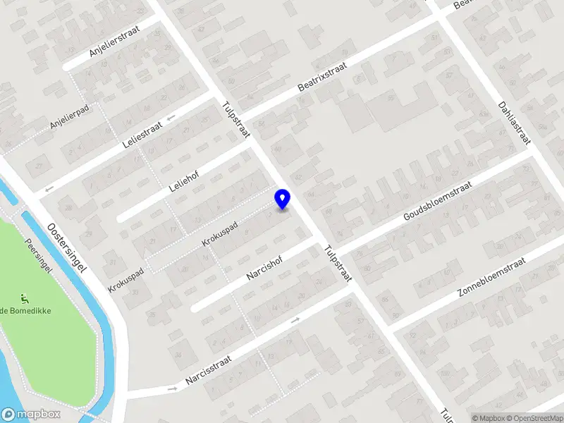 The Calling Bear Company B.V.